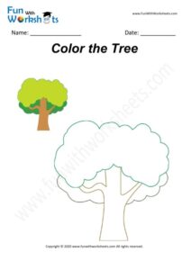 Tree - Colouring Worksheet