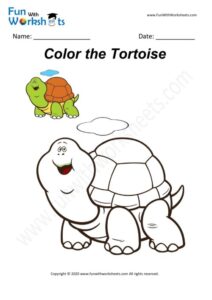 Tortoise - Colouring Worksheet