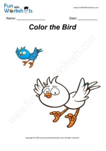 Bird - Colouring Worksheet