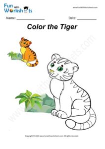 Tiger - Colouring Worksheet