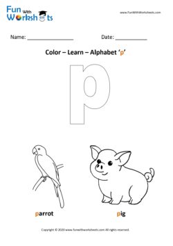 Color and Learn Small Alphabet p