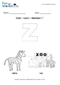 Color and Learn Small Alphabet z