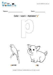 Color Learn small alphabet p