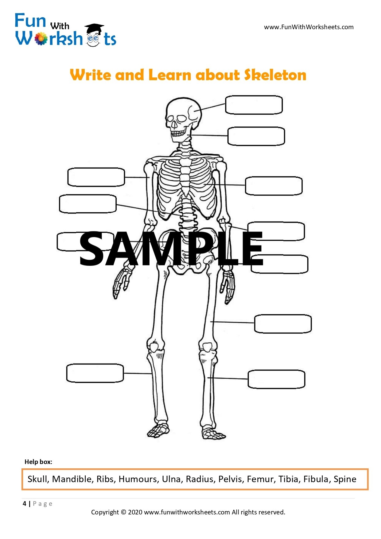 Skeleton Anatomy Activity  Moving Skeleton Craft  Instant Download (PDF) With Skeletal System Labeling Worksheet Pdf